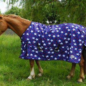 Offers and Clearance