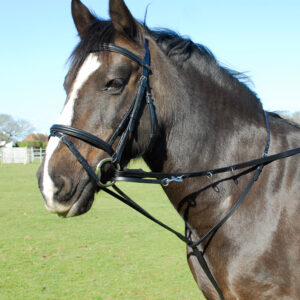 Martingales and Breastplates